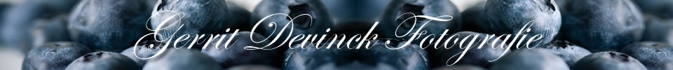 Gerrit Devinck logo